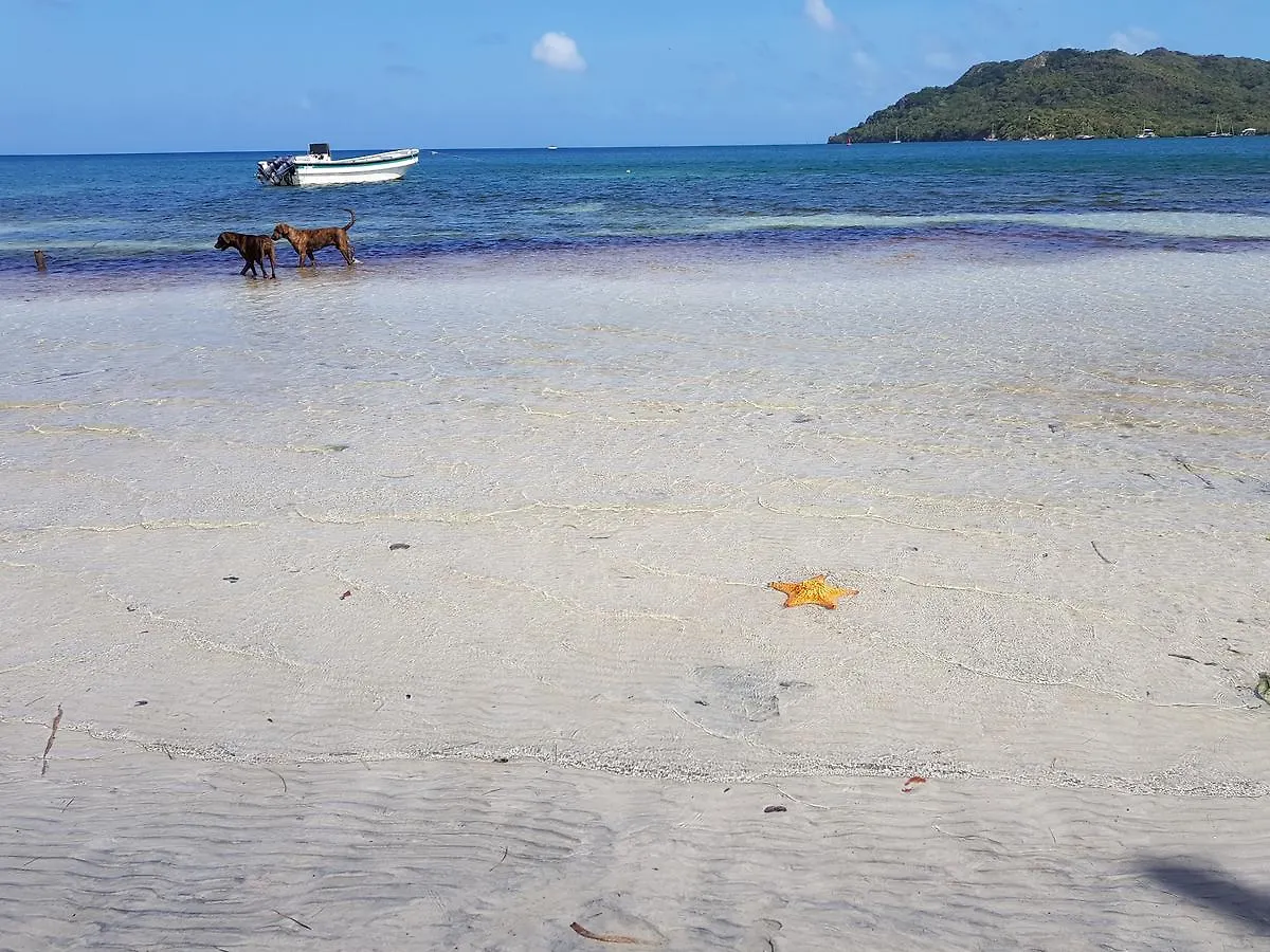 Posada Old Town Bay Providencia  Kro